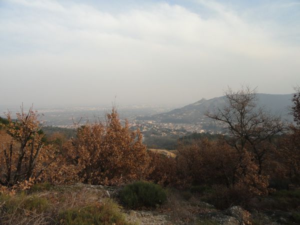 DSC04552