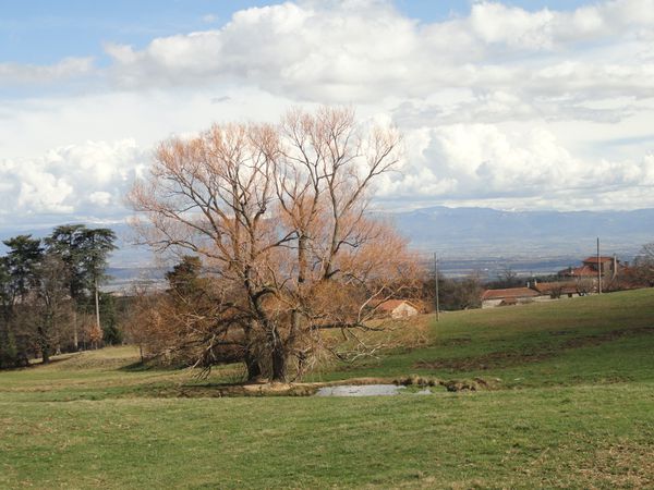 DSC04598