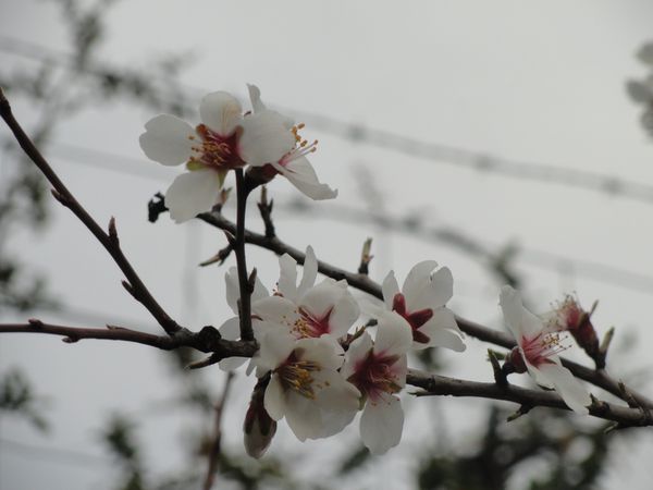 DSC04650