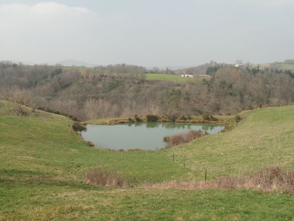 DSC04692