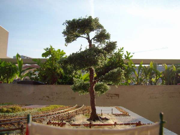 DSC04505