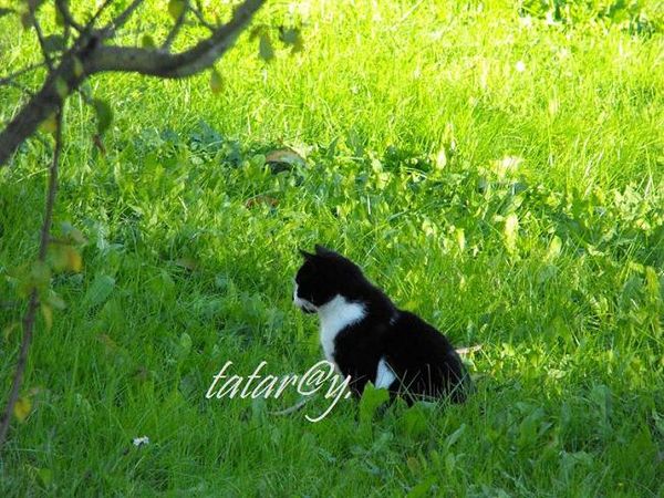 DSCF5489.JPG