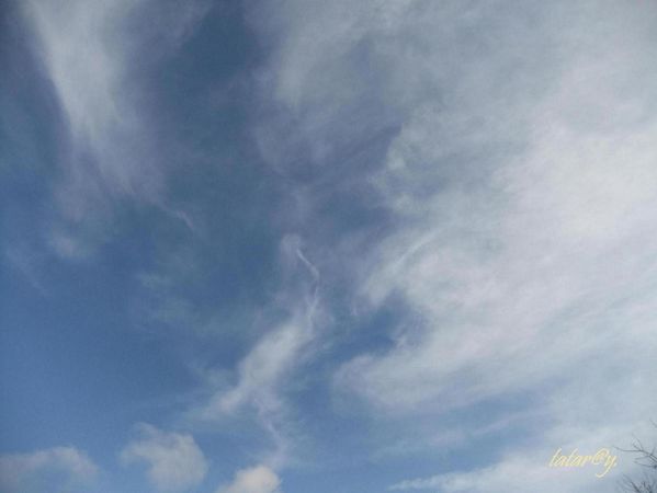 DSCF1798R.JPG