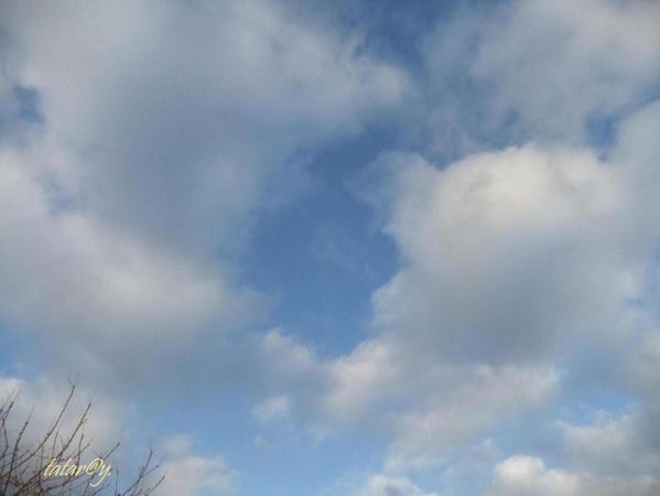 DSCF1818R.JPG