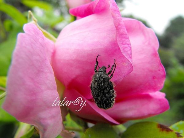 DSCF1135 -R