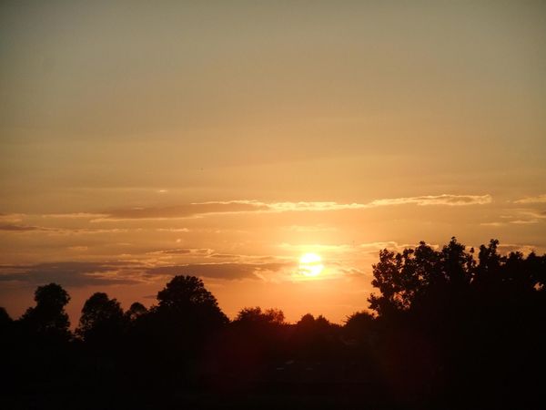 DSCF5225.JPG