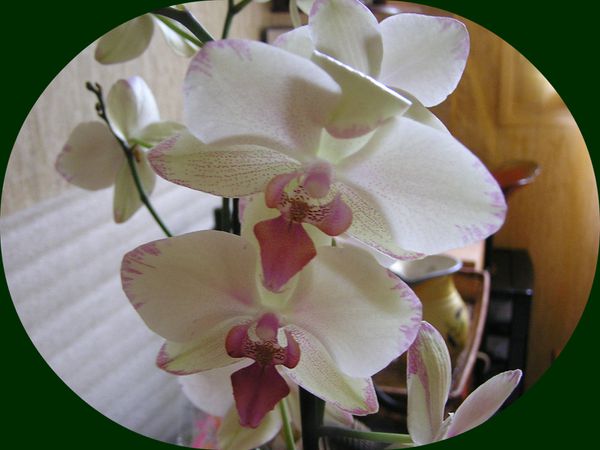 20030101_23.jpg