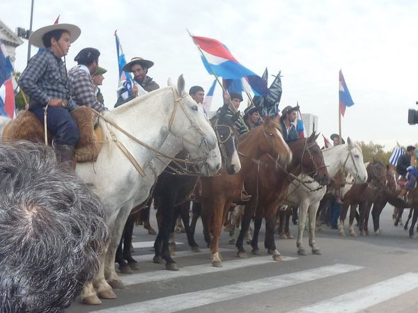 caballada3.jpg