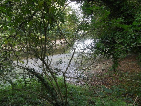 003-copie-1