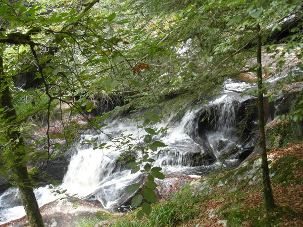 016-copie-1.JPG