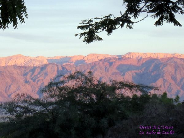 montagnes-jordaniennes-copie-1.jpg