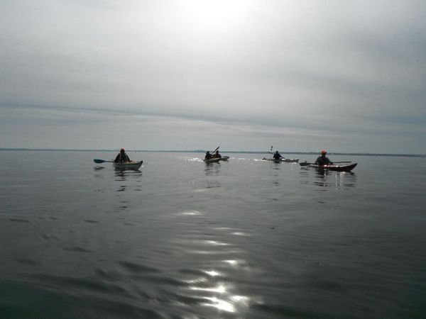 DSCF0860
