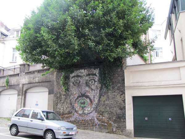 Hirsute ébahi