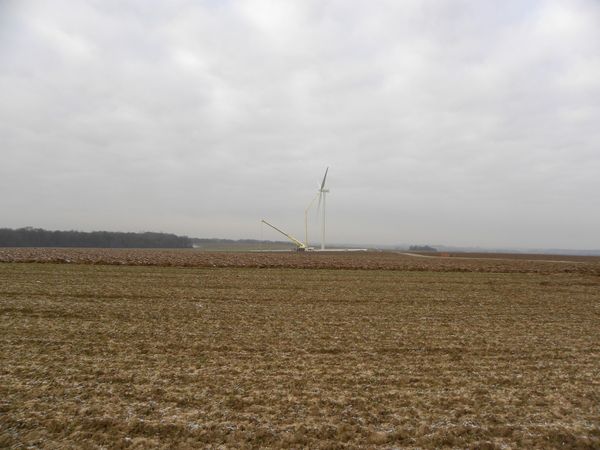 DSCN0897
