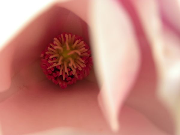DSCN0328
