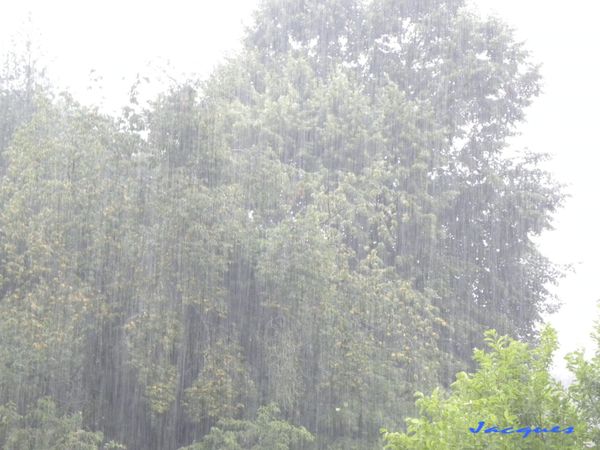 DSCN0556