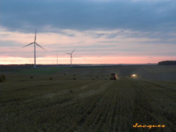 DSCN0905 bis