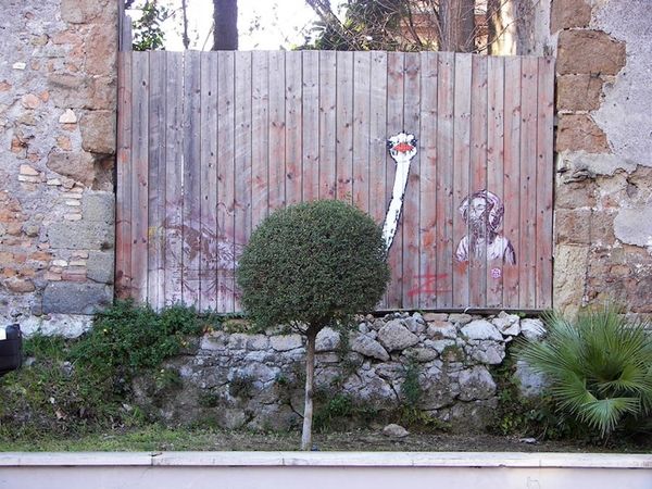 Street urban art in natures paul keirn (3.5)