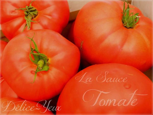 Sauce Tomates1