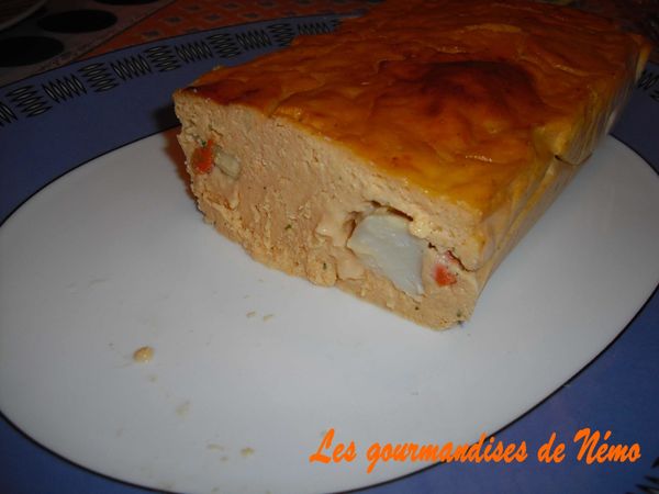 terrien-st-jaques--3-.JPG