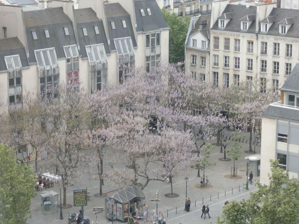 Paris 13 mai 2010 022