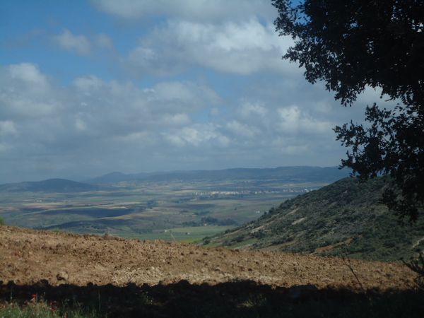 El-Hachimia-vue-panoramique.N-4916.JPG
