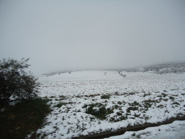 Neige-de-fevrier.N-4454.JPG