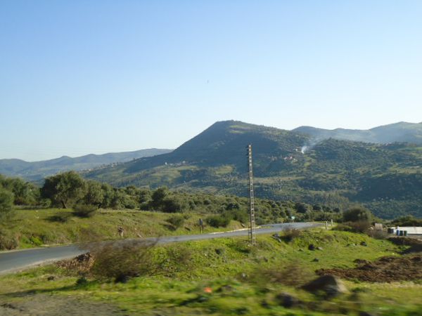 Collines . N°02025