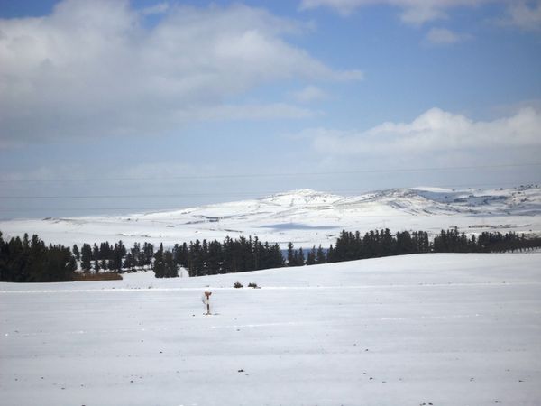 Des collines sous la neige N°02633