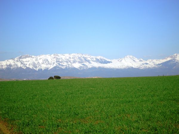 Djurdjura-a-l-approche-du--printems-JPG