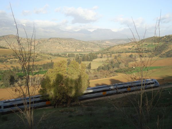 Train Auto rail N°02440