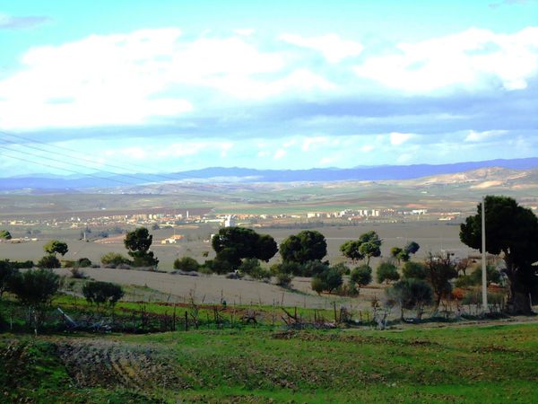 El-Hachimia.Vue-panoramique-JPG