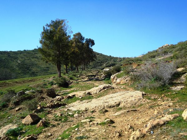 Sentier abondonné.