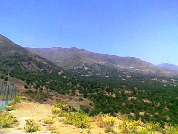 Photo021-copie-1.jpg