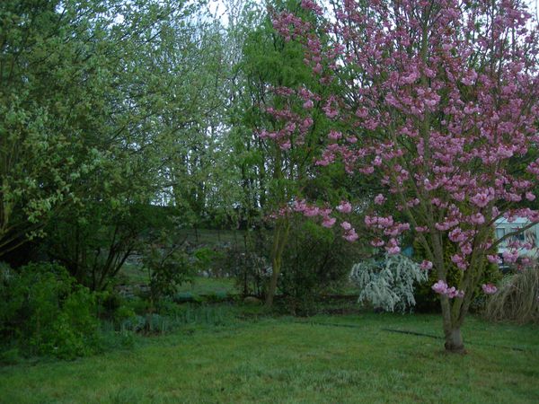 DSCN2166.JPG