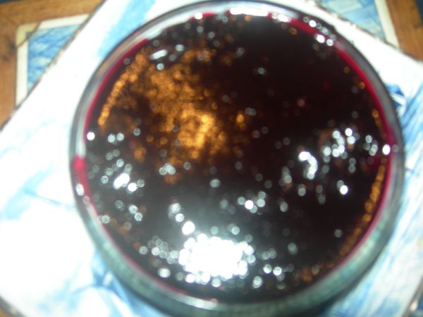 DSCN3863
