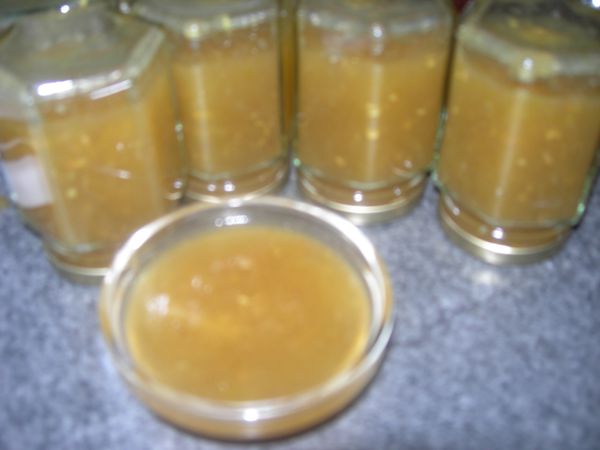 DSCN3916.JPG