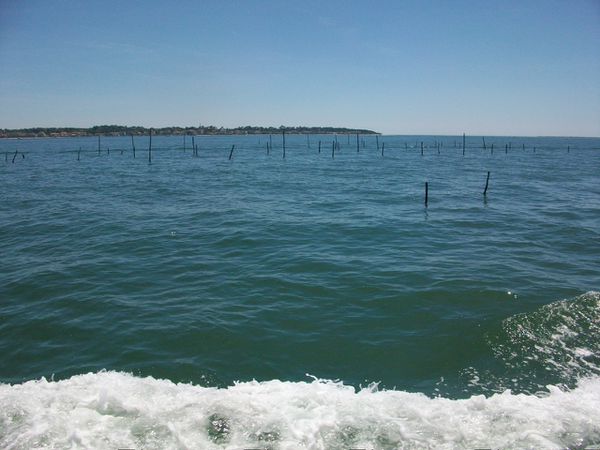 bateau5
