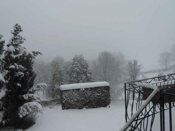 DSCN0367.JPG