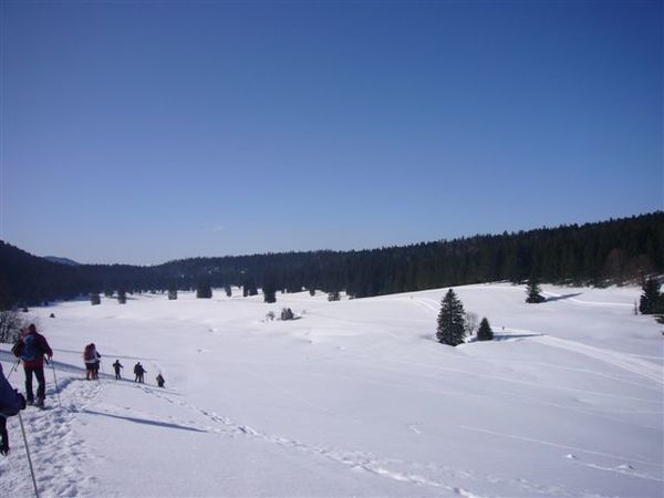 Herbouilly