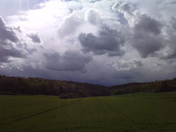 P200412 16.310001