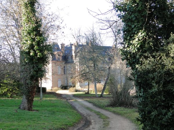 DSC07868