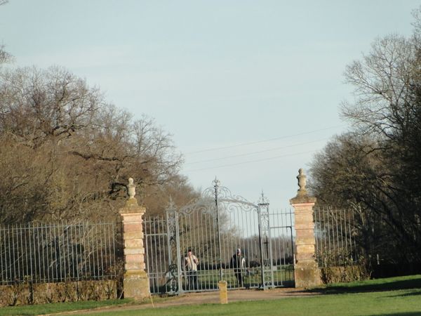 DSC07876