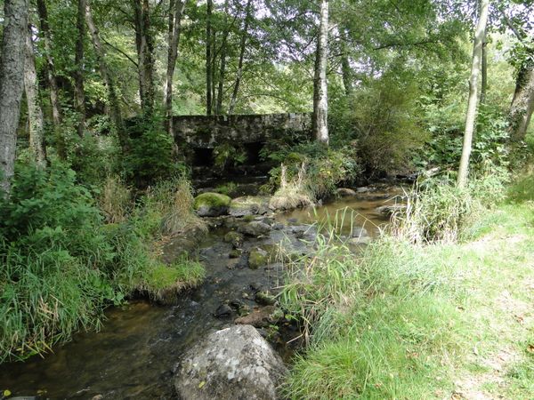 DSC06720
