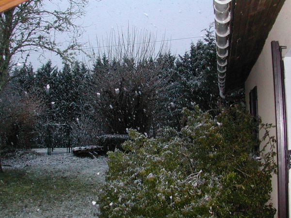 DSCN0895.JPG