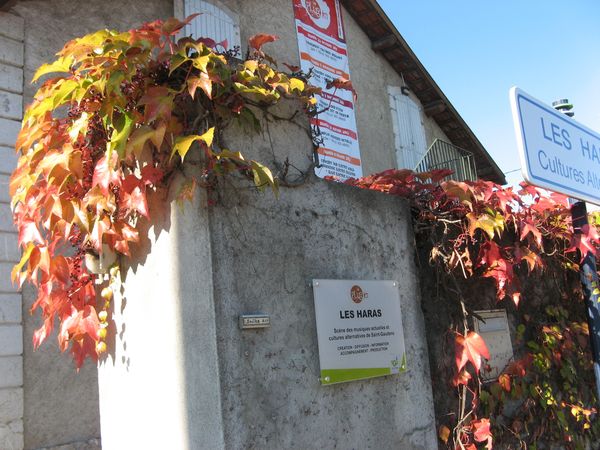 Saint-Gaudens-Shakk-Art-2011 3413