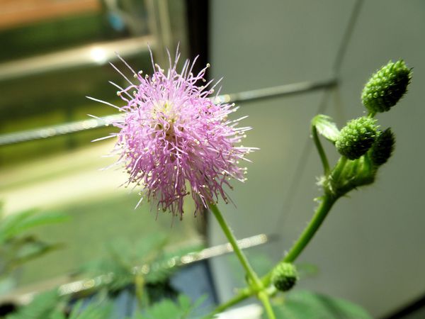 P1000030