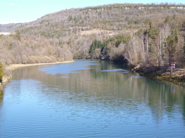 blog12