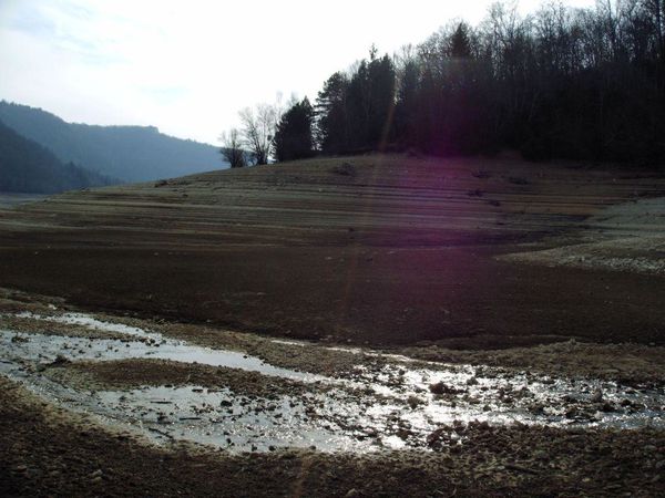 IMAG0040.JPG