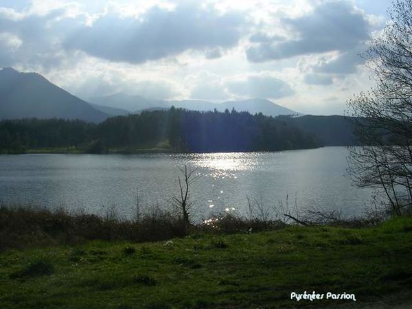 DSCN0769